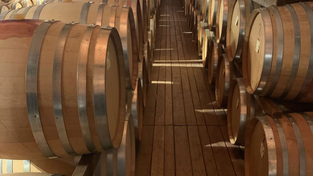 Barrique in fila in una cantina