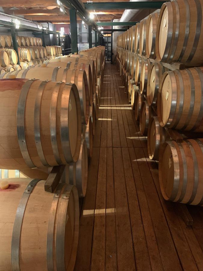 Barrique in cantina