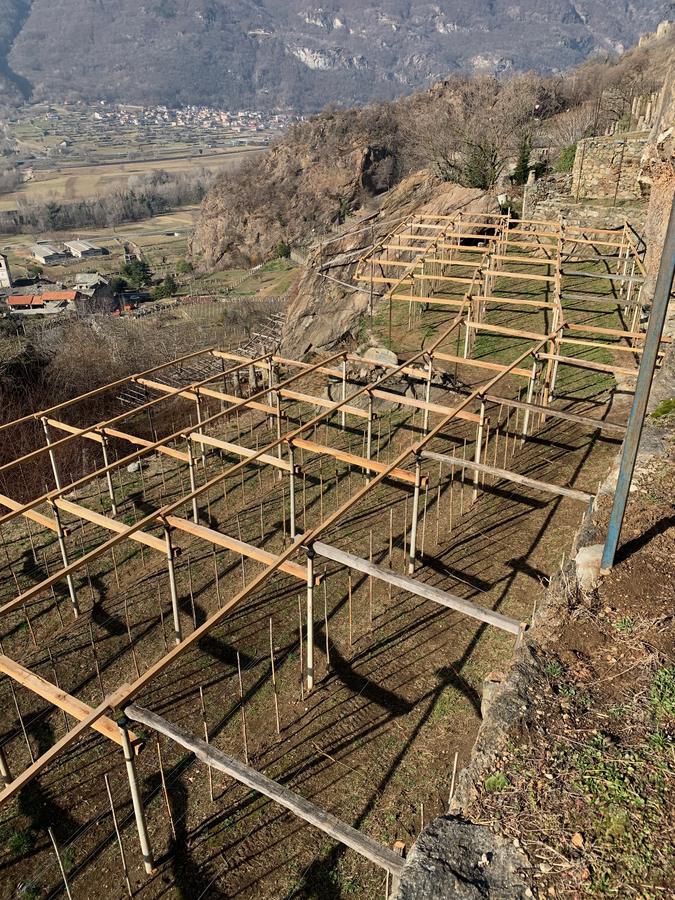 Pietre raccolte in vigneto