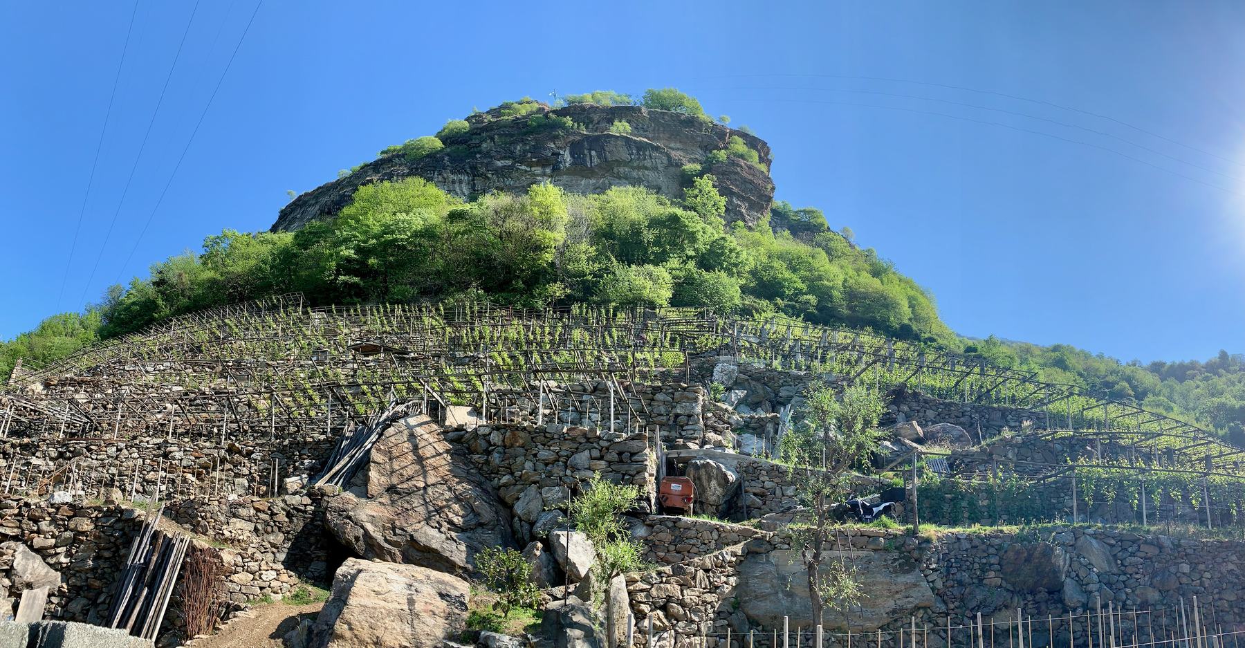 Vigneti terrazzati su un versante ripido, Piemonte